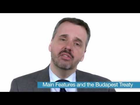 Learn the PCT: Episode 28 - Disclosure of Microorganisms and Biological Materials