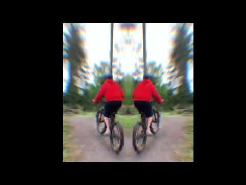 niko,saul,milosz duechny woods