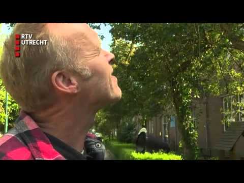 Gouden Tijden: Stef Bos - do 18 feb 2016, 07:02 uur [RTV Utrecht]