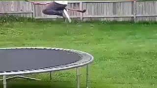 Летящий на метле
