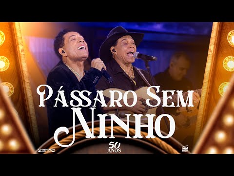 André e Andrade - PÁSSARO SEM NINHO (DVD 50 Anos)