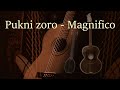 Pukni zoro - Magnifico (instrumental - cover)