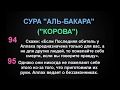 СУРА "АЛЬ-БАКАРА" ("КОРОВА") аят - 94 - 95 