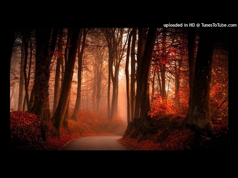 Liquid State ft Marcella Woods - Falling (Solarstone after hours mix)