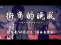 勵志豪/神勇尼尼 - 街角的晚風 (節奏氛圍版)「街角的晚風吹散的霓虹 為何 love is gone gone gone」【動態歌詞/PinyinLyrics】♪