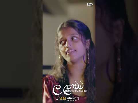 Kollo Hithuwa Tharam ma  Nethmini Ft. JTSP Boy - La Lawata 💫  Bee Music #shorts #viral #tiktok