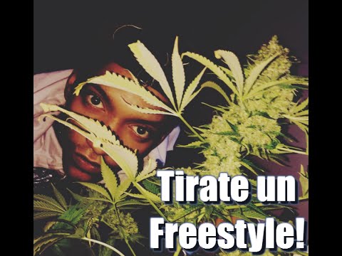 Dary Black Diamond || Tirate un Freestyle pa la calle!