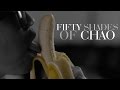 Beyoncé - "Crazy in Love" PARODY "Fifty Shades ...