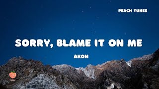 Akon - Sorry, Blame It On Me (Lyrics) 🍑