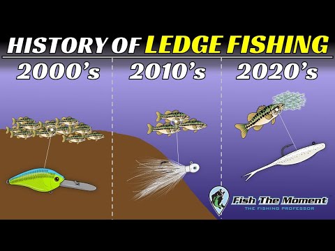 Bass Behavior is Constantly Changing: The Evolution of Offshore Bass Fishing | FTM Livestream #147