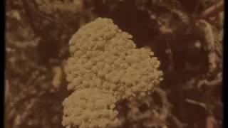 Allen Clapp - Seasons 5 &amp; 6 (Part Two)