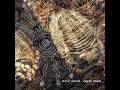 Steve Roach - Early Man - Tribal Ambient