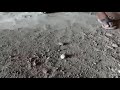 DESI HOT BHABHI TWERK TWERK 18 Song