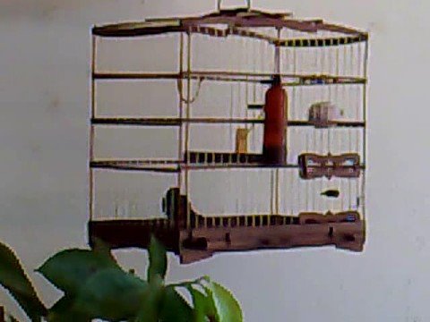 Chant Commun Brésil - Zéphir Pico