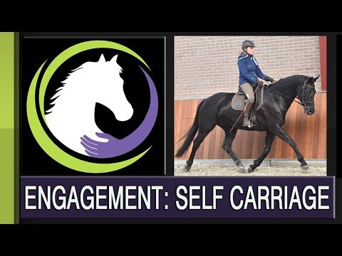 The Biomechanics of Engagement (part 2): The Essential Components of Self Carriage