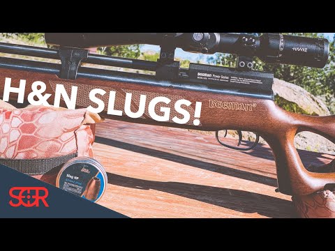 H&N SLUGS in Beeman QB Chief and Beeman Commander