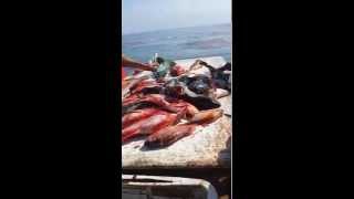 preview picture of video 'pesca en Ejido herendira mayo 2014'