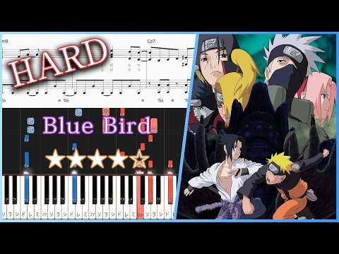 Blue Bird Piano Performance Video