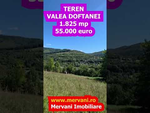 Teren intravilan 1825 mp de vanzare in Valea Doftanei — Video