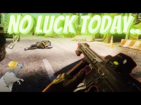 Extract Camping Chads With Their WEAPONS..