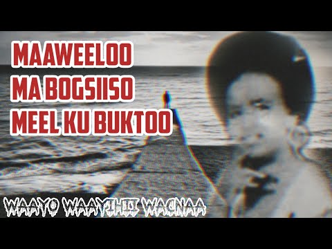 Seynab Cige Maxamed 🔥Iyo Heesta "MAAWEELO MA BOGSIISO MEEL KU BUKTA" (KAAR)
