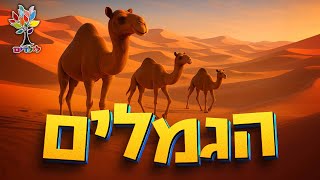 חיות לילדים | גמל 🐫🐪 גמלים - עולם החיות - בהמחשת AI מיוחדת (ארגון ענפים) - התמונה מוצגת ישירות מתוך אתר האינטרנט יוטיוב. זכויות היוצרים בתמונה שייכות ליוצרה. קישור קרדיט למקור התוכן נמצא בתוך דף הסרטון