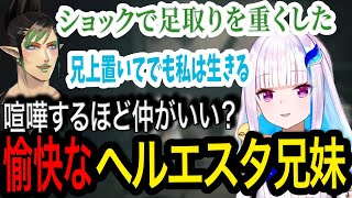 ほほえましいヘルエスタ兄妹のドタバタ物語【リゼ・ヘルエスタ/花畑チャイカ/にじさんじ】