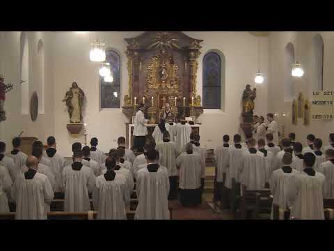 18. Februar 2026 - Gesungenes Amt  im tridentinischen Ritus - Priesterseminar Herz Jesu