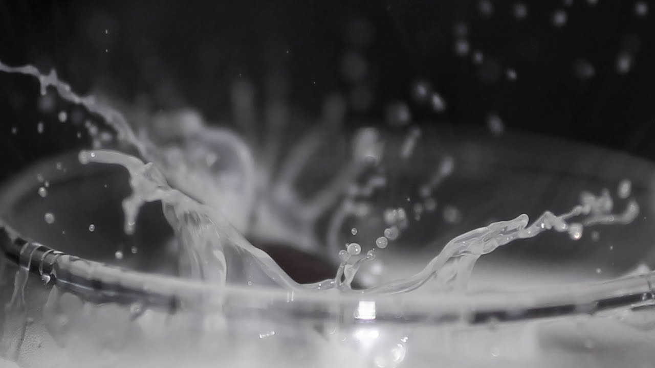 Объектив Canon EF 50mm f/2.5 Compact Macro