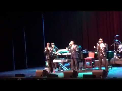 Promotional video thumbnail 2 for Essence of Motown