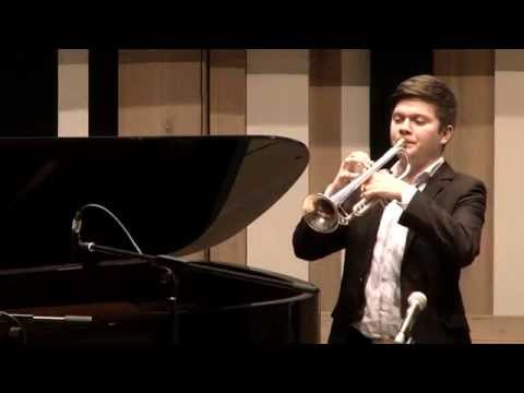 roma tehetségnap - Kovács Botond