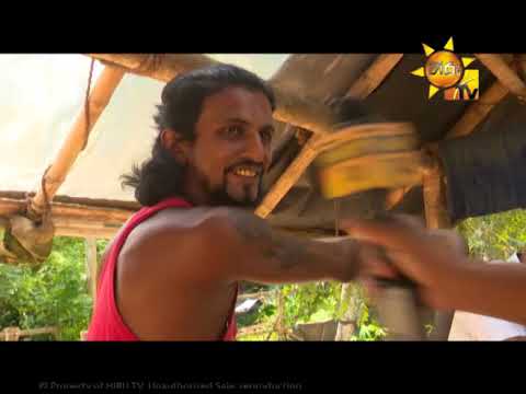 Hiru TV