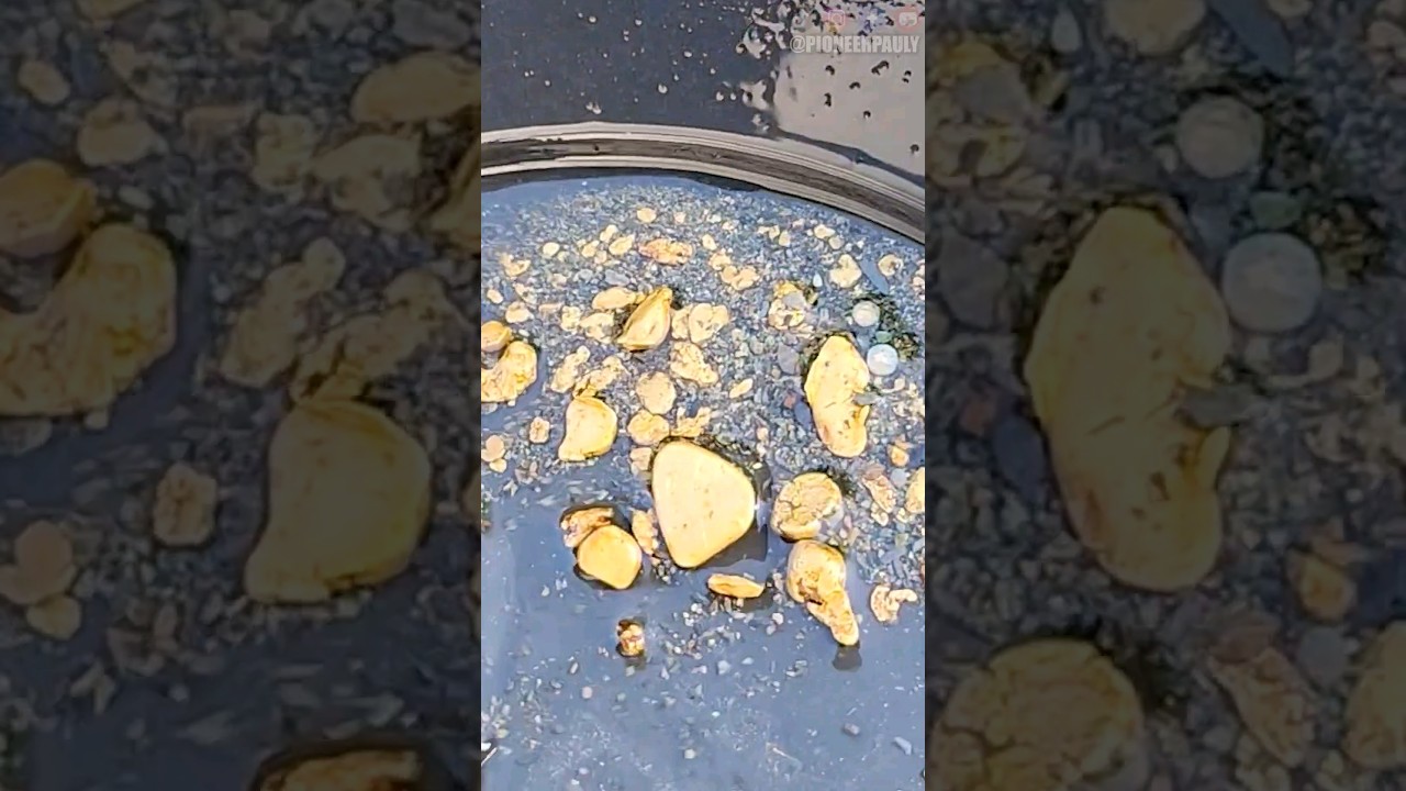 Diver Finds $1400 Of Gold In New Zealand!