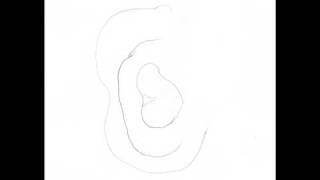 I corti - La follia dei...