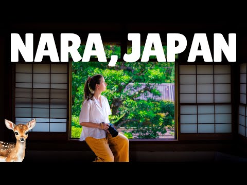A day trip to NARA 🦌 Nara Deer Park, Todai-ji Temple, Viral Mochi 🍡 [Nara, Japan] 🇯🇵