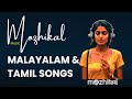 Malayalam Song Live : 24/7 Live Stream | Cover Songs | Relaxing | Lofi | Chill & Relax | Tamil Songs
