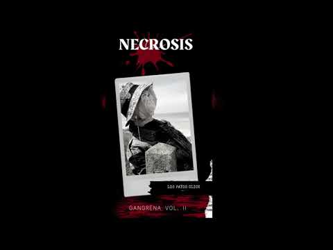 PUK X JL - NECROSIS