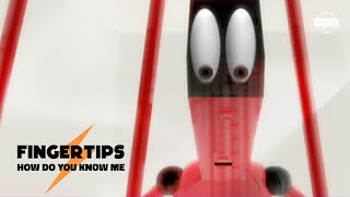 Fingertips - How Do You Know Me (Official 3D Video)