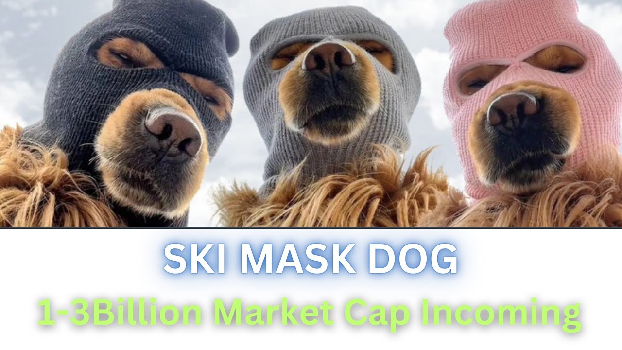 🚀 Bitcoin Hits $100K! SKI MASK DOG: #1 DOG Meme Coin on Base Chain Heading to $1-3B! 🐶💰