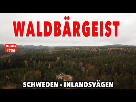 #758 Besteht Schweden nur aus Bäumen? Inlandsvägn E45 | Ich glaub ich hab n Vogel! MegaMobil Lounge