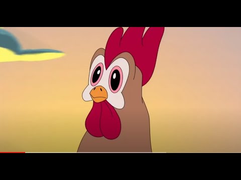 Chicken Boo, What's The Matter With You?