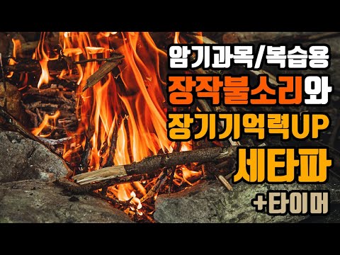 (암기과목/복습용) 💡장기기억세타파 + 장작불소리🔥 + 시간타이머🕜 | 6.0 Hz 세타파 + 장작불소리 - 장기기억력향상 | 6.0 Hz EEG+Wood Fire