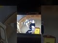 Sly Cooper Vs Mr Wolf Shorts Meme