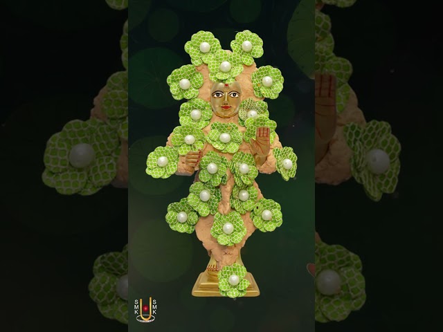 હરિકૃષ્ણ મહારાજ