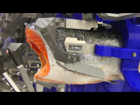 How Smoked Salmon Is Made