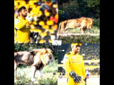 Vintage thala | #thala #lion