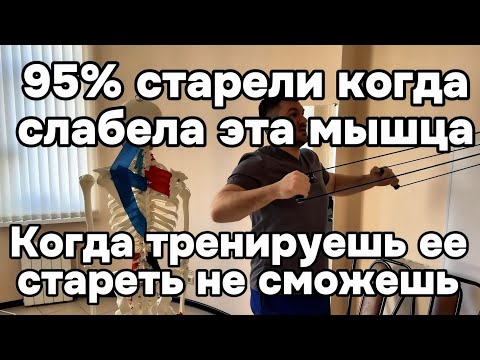 Старость у 95% людей началась с этой мышцы. Если делаешь это упражнение не сможешь постареть 