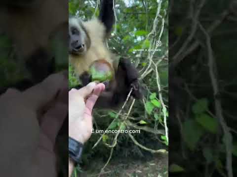 Cachoeira do Itambé em Cássia dos Coqueiros SP #cachoeira #itambé #natureza #paisagemrural #trilha