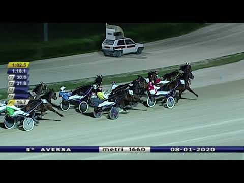 Aversa trotto 8 Gennaio 2020 - 5° Corsa