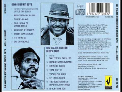 King Biscuit Boys (Houston Stackhouse) - Cool Drink Of Water Blues